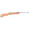 Image 1 : Crossman Quest 1000X .177 CAL