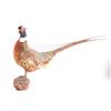 Image 2 : Lot of 2 Bird Mounts