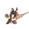 Image 3 : Lot of 2 Bird Mounts