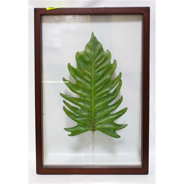 FRAMED LEAF IN CLEAR GLASS FRAME