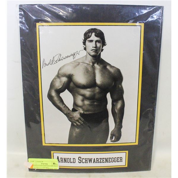 ARNOLD SCHWARZENEGGER PRINT 11 INCHES X 14 INCHES
