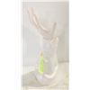 Image 1 : CERAMIC WEIGHTED RING DISPLAY/STORAGE
