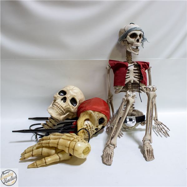 LOT OF SKELETON HALLOWEEN DECOR