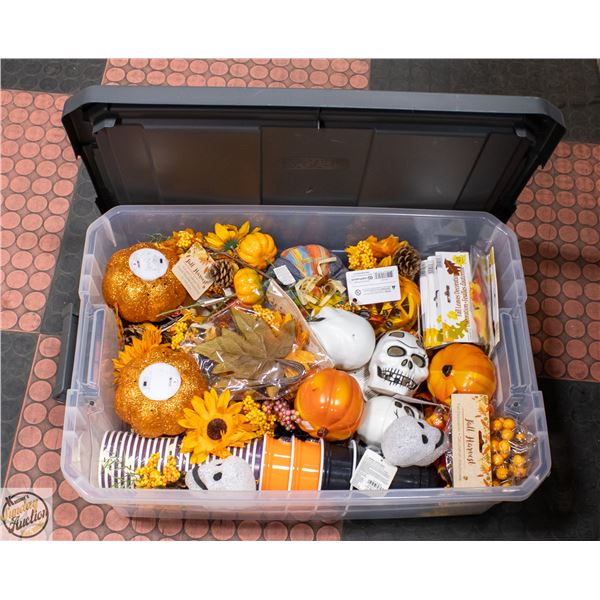 LOT OF FALL/HALLOWEEN DECOR