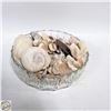 Image 1 : VINTAGE BOWL WITH SHELLS FOSSILS &