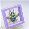 Image 1 : NEW LARGE BEETLE BROOCH RHINESTONES &