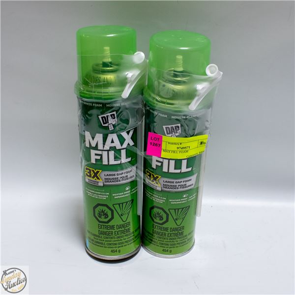 DAP MAX FILL FOAM