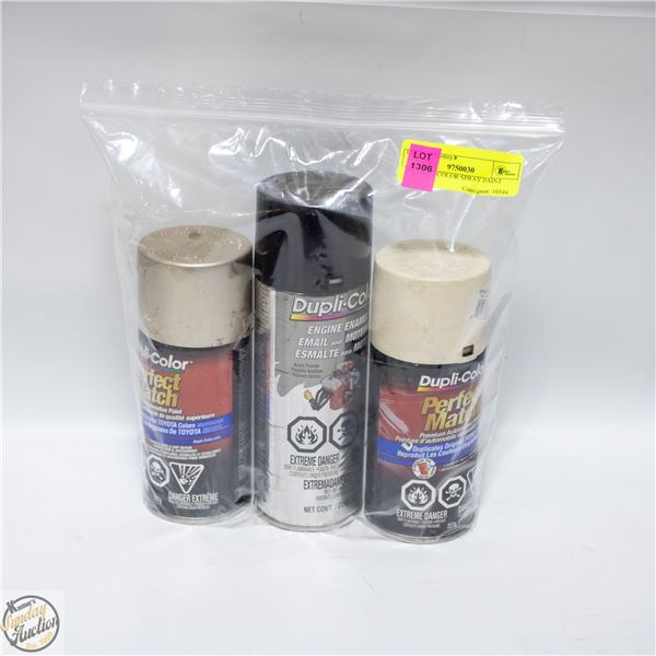 3PK DUPLICOLOR SPRAY PAINT