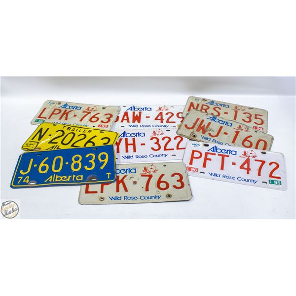 VINTAGE LISENCE PLATES