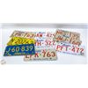 Image 1 : VINTAGE LISENCE PLATES