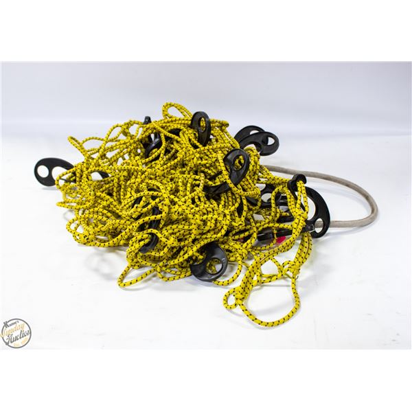 BUNGEE CORDS