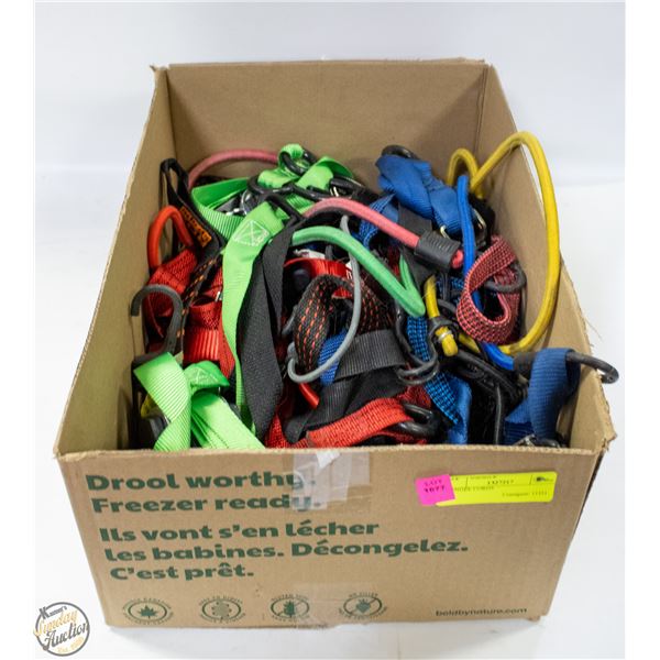 BUNGEE CORDS