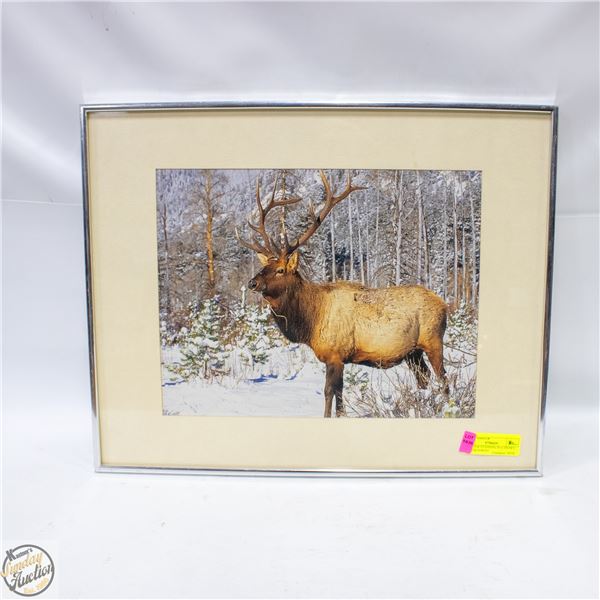 BULL ELK STANDING IN A SNOWY WINTER FOREST