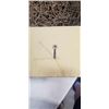 Image 3 : BOX OF 3 INCH DECK SCREWS