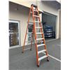 Image 2 : 10 FOOT WINNER METAL LADDER