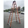 Image 3 : 10 FOOT WINNER METAL LADDER