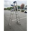 Image 3 : 8 FOOT METAL LADDER