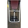 Image 2 : EXERPEUTIC INVERSION TABLE