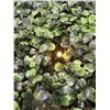 Image 3 : 2 NEW LED DECORATIVE WALL PANELS. 40" X 40"