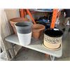 Image 1 : ASSORTED PLANT POTS
