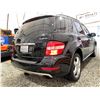 Image 14 : PARKSVILLE - 2009 MERCEDES-BENZ M-CLASS BLACK 261754 KMS - 471656-1