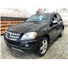 Image 3 : PARKSVILLE - 2009 MERCEDES-BENZ M-CLASS BLACK 261754 KMS - 471656-1