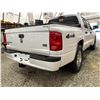 Image 14 : PARKSVILLE - 2005 DODGE DAKOTA WHITE 196672 KMS - 136563-2