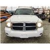 Image 6 : PARKSVILLE - 2005 DODGE DAKOTA WHITE 196672 KMS - 136563-2
