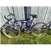 Image 1 : GT Backwoods 21-Speed Mountain Bike Purple