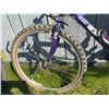 Image 4 : GT Backwoods 21-Speed Mountain Bike Purple
