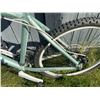 Image 2 : Devinci Chameleon Mountain Bike White/Green