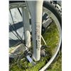 Image 3 : Devinci Chameleon Mountain Bike White/Green
