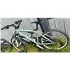 Image 5 : Devinci Chameleon Mountain Bike White/Green