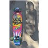 Image 1 : Rayne Longboard, Renegade & Blank Skateboards