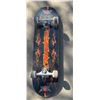 Image 2 : Rayne Longboard, Renegade & Blank Skateboards