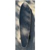 Image 5 : Rayne Longboard, Renegade & Blank Skateboards