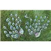 Image 1 : Peacock And Bird Metal Garden Art Lot