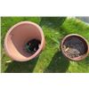 Image 4 : Terracotta and Glazed Ceramic Planters Pair