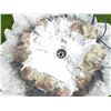 Image 3 : Concrete Leaf-Form Outdoor Garden Fountain