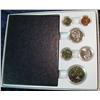 Image 1 : 579. 1981 Canada (1) 1-Dollar Coin Proof Like Set.