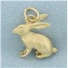 Image 1 : 3D Rabbit Zodiac Charm in 14k Yellow Gold