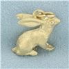 Image 2 : 3D Rabbit Zodiac Charm in 14k Yellow Gold