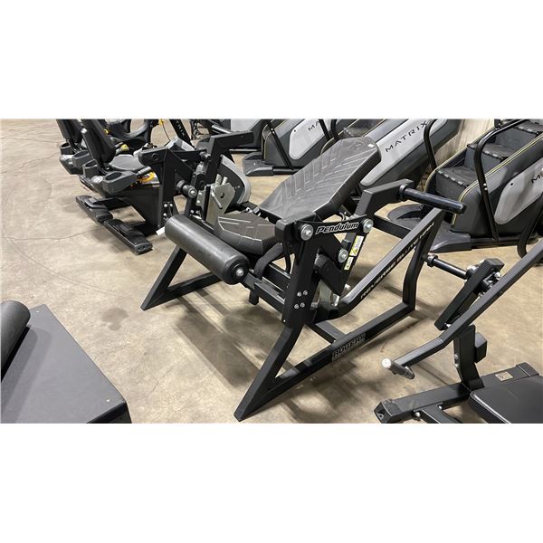 ROGERS ATHLETIC PENDULUM REVERSE GLUTE-HAM COMMERCIAL STRENGTH MACHINE