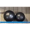 Image 6 : SHELF OF CONDITIONING ROPES, 2 YOGA BALLS & MEDICINE BALLS- ASSORTED WEIGHTS