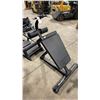 Image 1 : ATLANTIS STRENGTH COMMERCIAL ADJUSTABLE HYPEREXTENSION BENCH