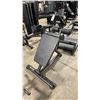 Image 2 : ATLANTIS STRENGTH COMMERCIAL ADJUSTABLE HYPEREXTENSION BENCH