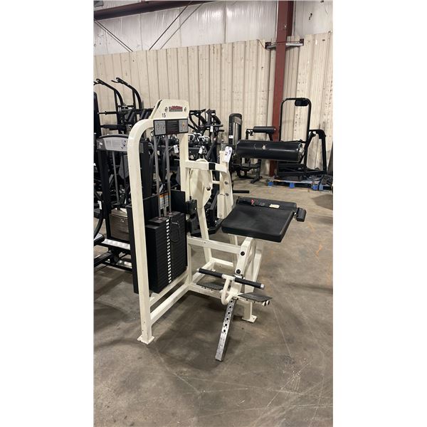 LIFE FITNESS PRO 1 COMMERCIAL BACK EXTENSION MACHINE