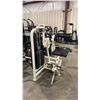 Image 1 : LIFE FITNESS PRO 1 COMMERCIAL BACK EXTENSION MACHINE