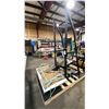 Image 2 : ROGERS ATHLETIC PENDULUM PIT SHARK COMMERCIAL BELT SQUAT MACHINE