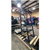 Image 4 : ROGERS ATHLETIC PENDULUM PIT SHARK COMMERCIAL BELT SQUAT MACHINE